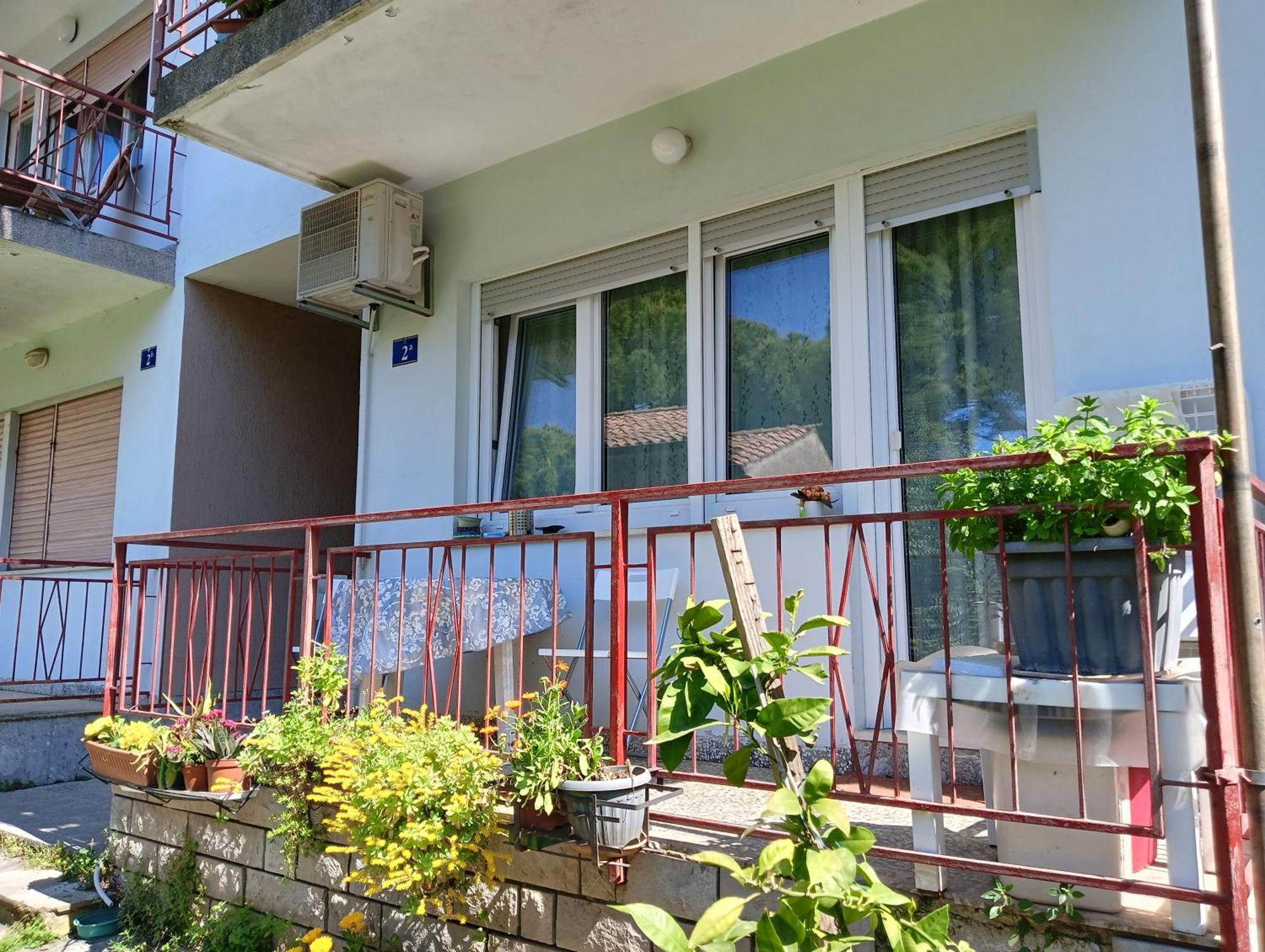 Lungomare Apartment
