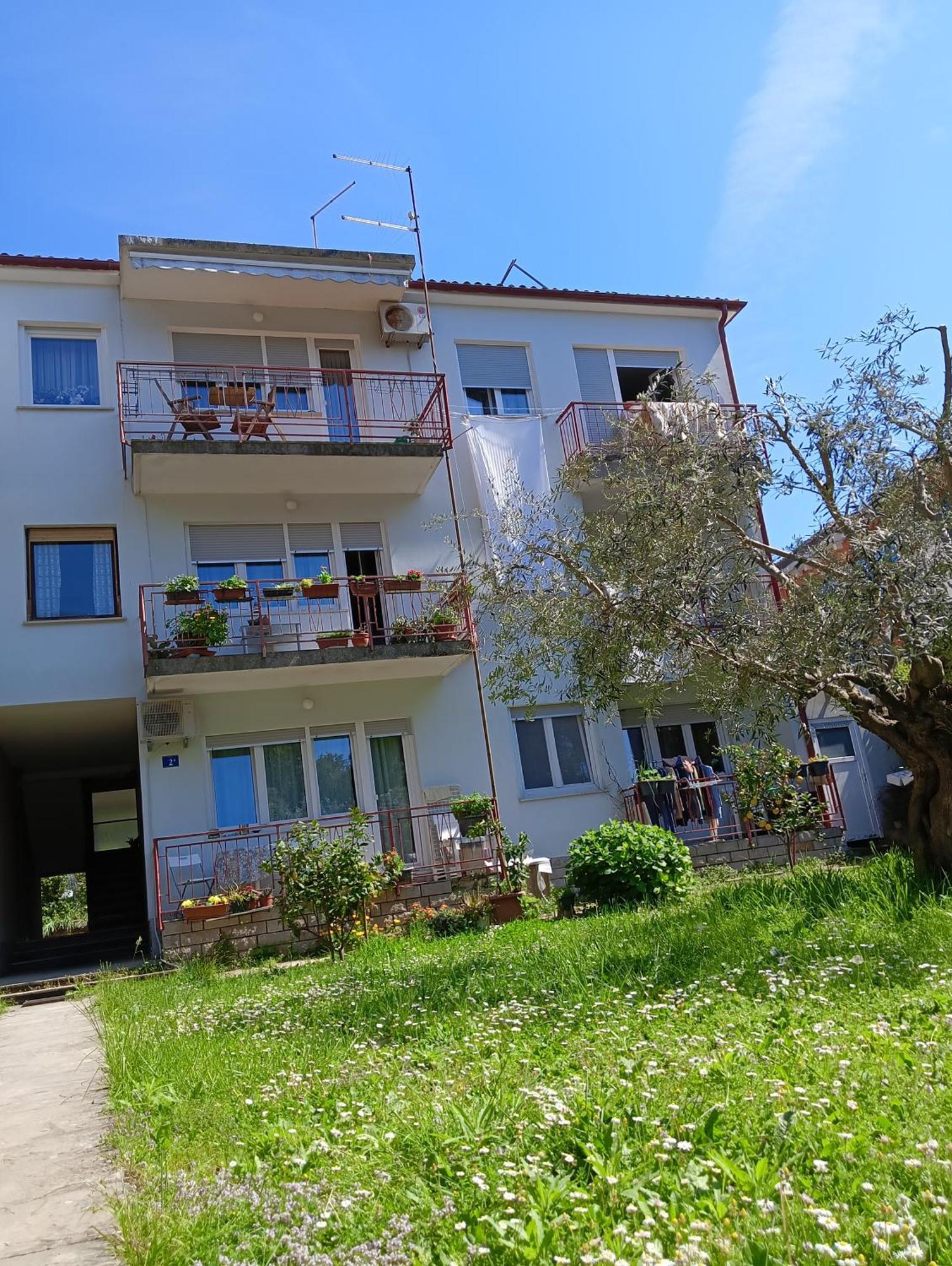 Apartment Lungomare